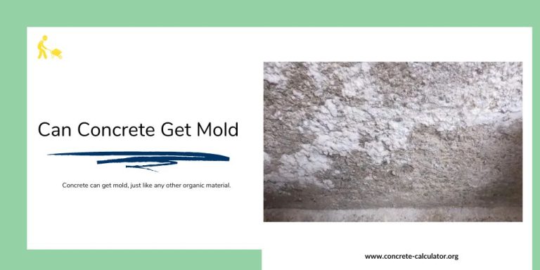 Can Concrete Get Mold
