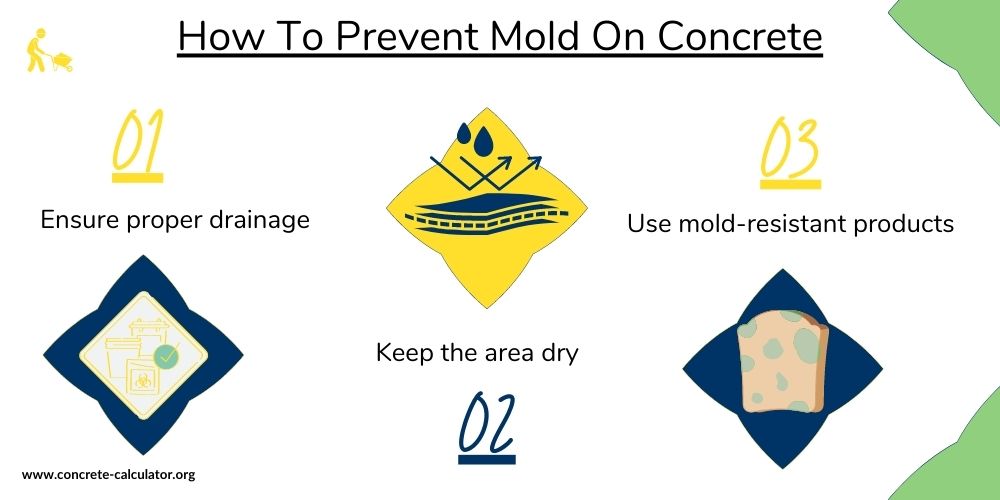 How To Prevent Mold on Concrete?